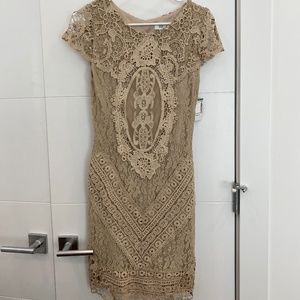 Gorgeous Tan Lace Dress - New with tags M